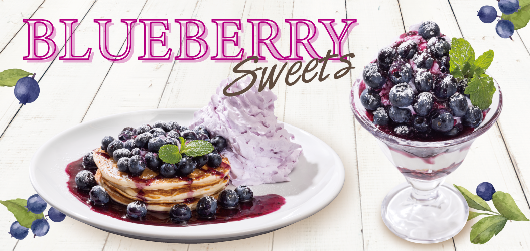 Blueberry sweets