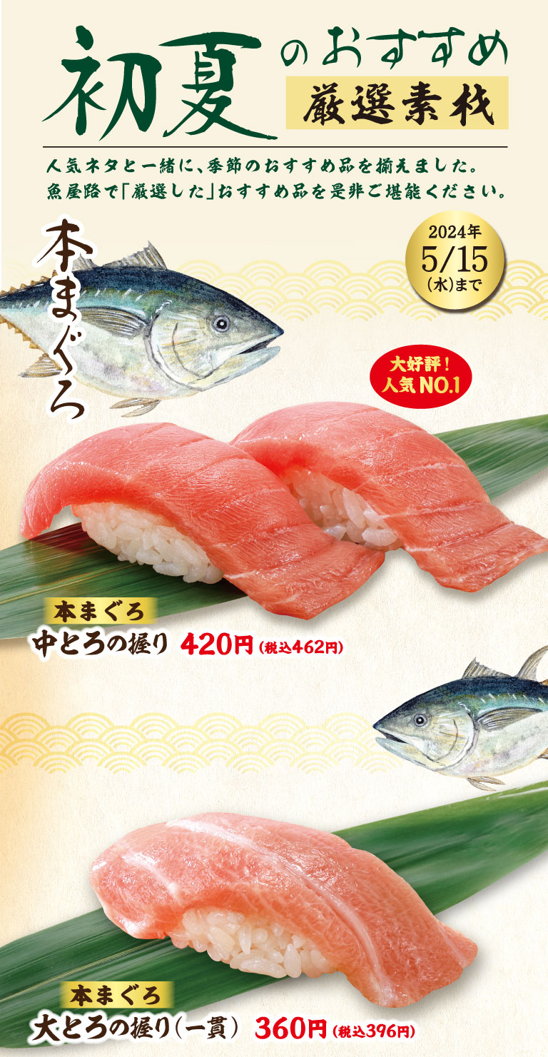 Honmaguro medium fatty tuna nigiri, Honmaguro nigiri (1 piece)