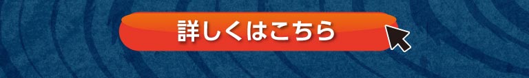 当日ご注文可能なミニ会席【藍屋御膳】