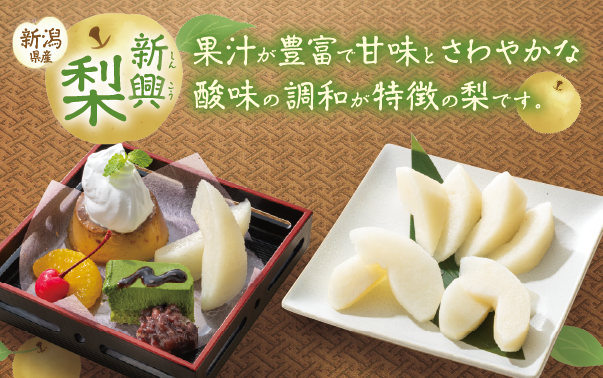 【니가타현산】신흥 배(신코나시)