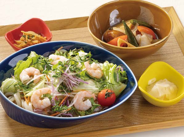 Cold Udon Noodle Salad And Shrimp Over A Chilled Sesame Broth Chicken Vegetables With A Balsamic Sauce Bowl Noodles Chawan Skylark Group Cold Udon Noodle Salad And Shrimp Over A Chilled Sesame Broth Chicken Vegetables With A Balsamic Sauce Bowl Noodles Chawan Skylark Group
