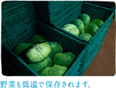 野菜も低温で保存されます。