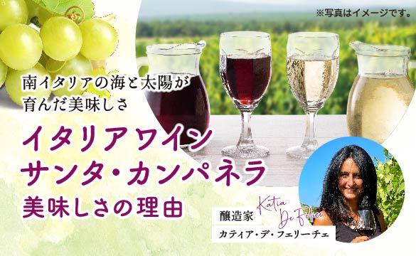 イタリアワイン サンタ・カンパネラ