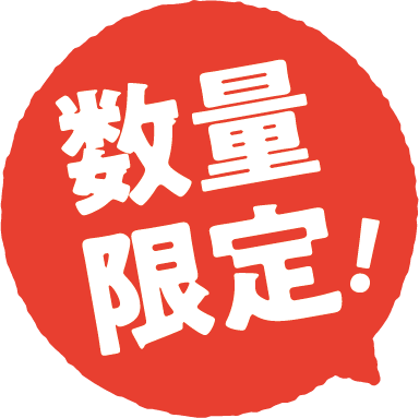 数量限定！