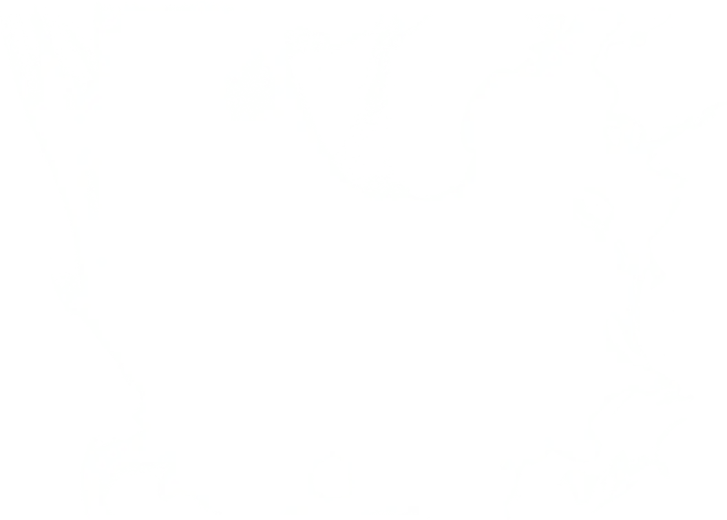 湯気1