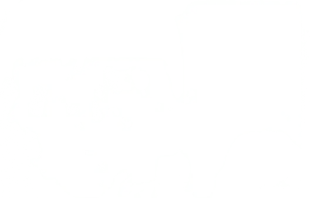 湯気2