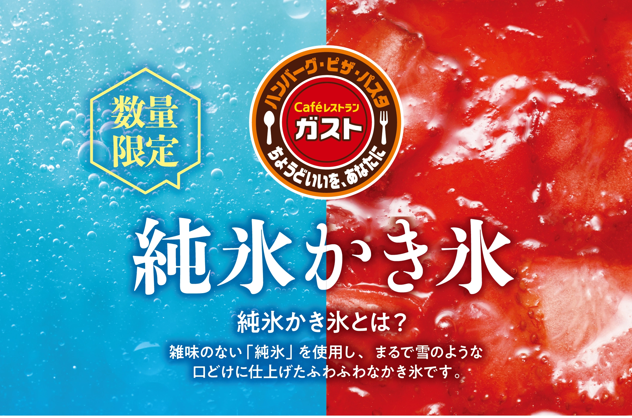 数量限定 純氷かき氷