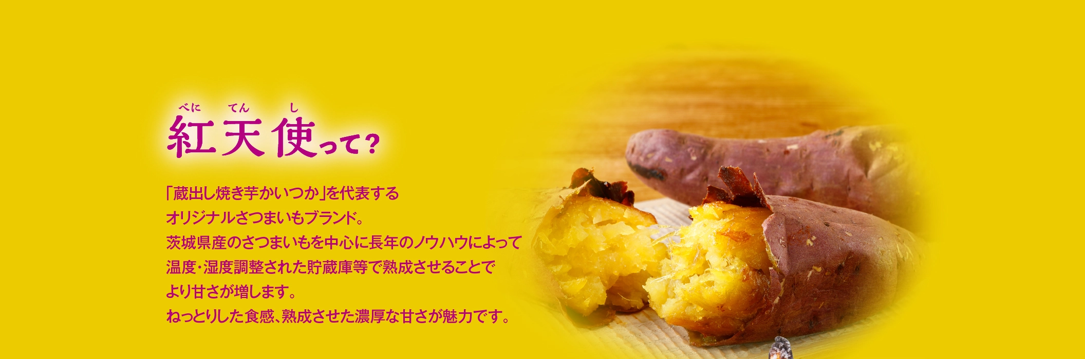 紅天使って？「蔵出し焼き芋かいつか」を代表するオリジナルさつまいもブランド。茨城県産のさつまいもを中心に長年のノウハウによって
温度・湿度調整された貯蔵庫等で熟成させることでより甘さが増します。ねっとりした食感、熟成させた濃厚な甘さが魅力です。