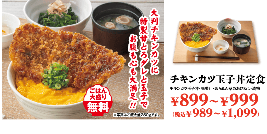 チキンカツ玉子丼定食