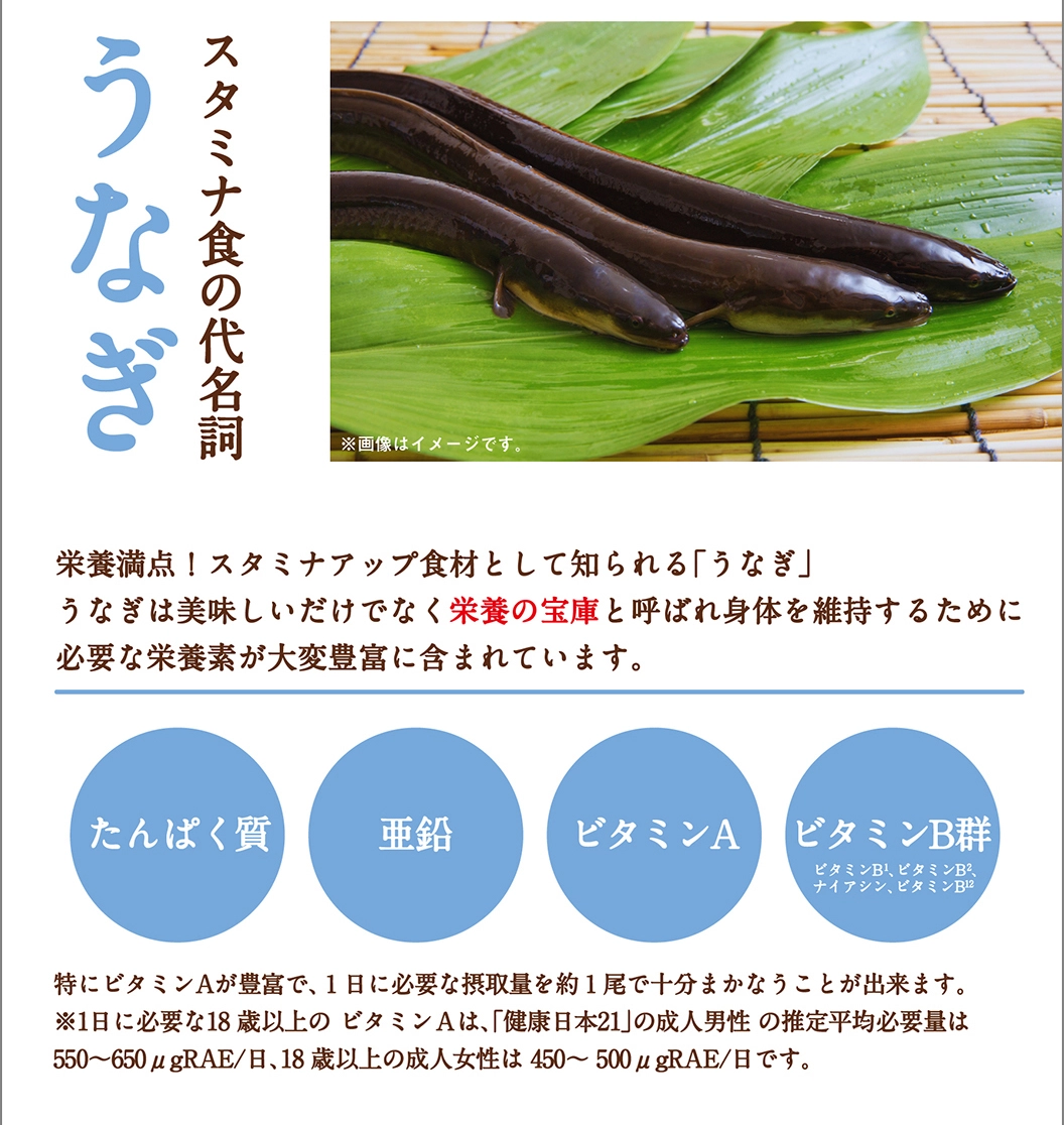 ガストのうなぎ