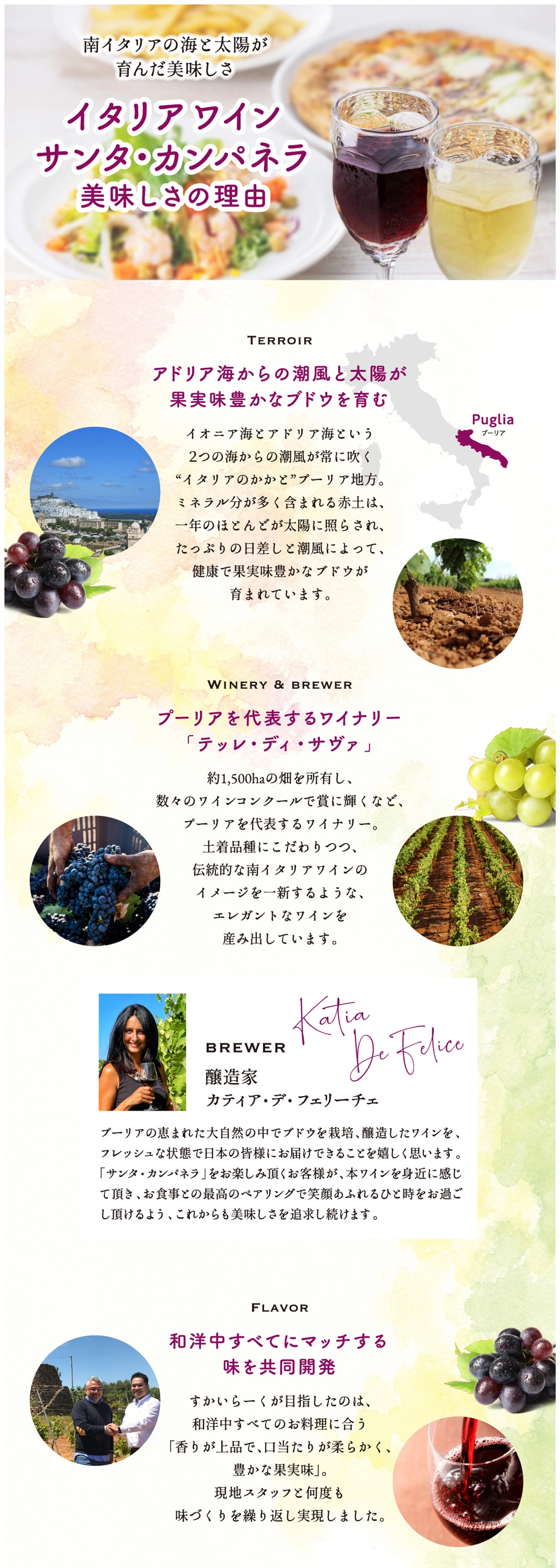 イタリアワイン　サンタ・カンパネラ　美味しさの理由