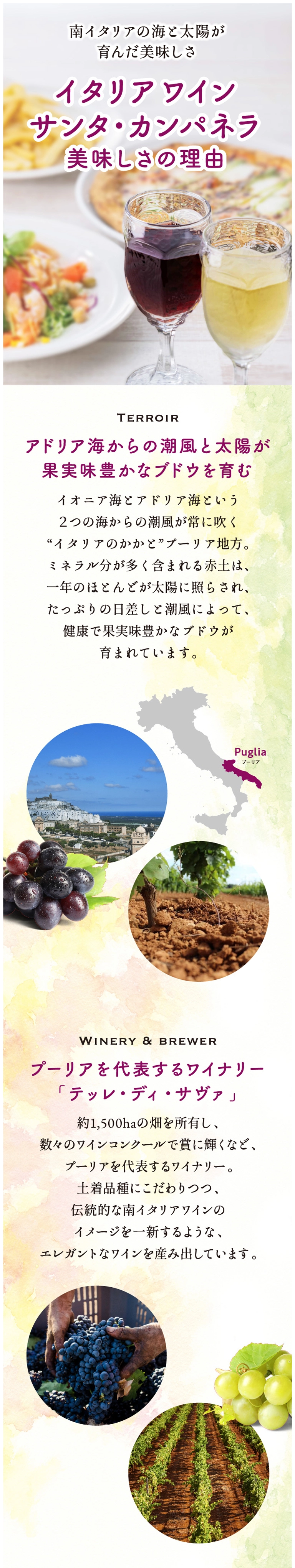 イタリアワイン　サンタ・カンパネラ　美味しさの理由