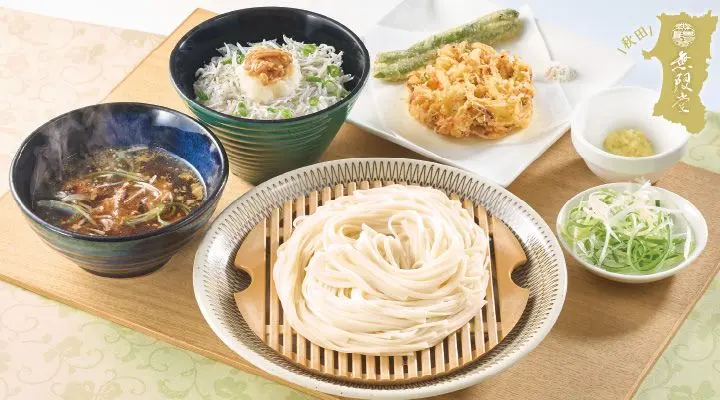 【 開梱 設置?無料 】 秋田無限堂の稲庭うどん〉豚なんこつの葱つけ麺と野菜かき揚げ+ 食品サンプル