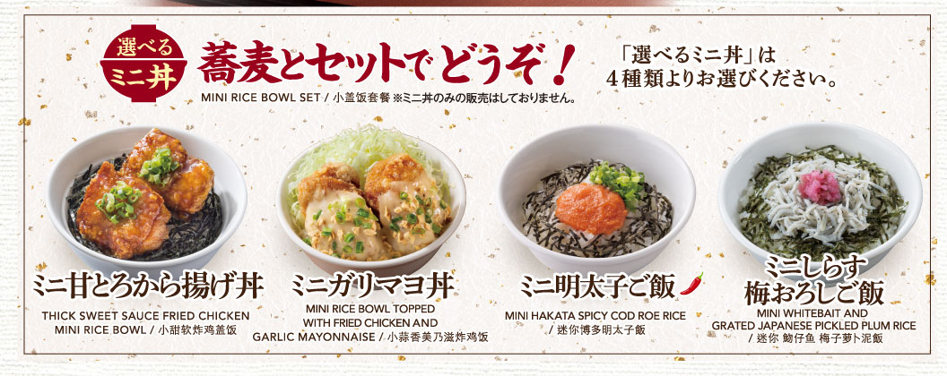 選べるミニ丼セット