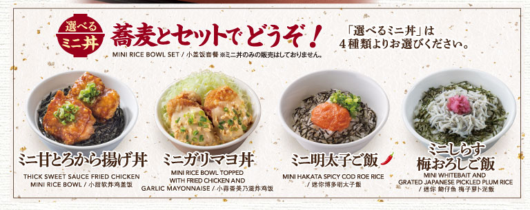 選べるミニ丼セット