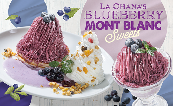 Blueberry sweets