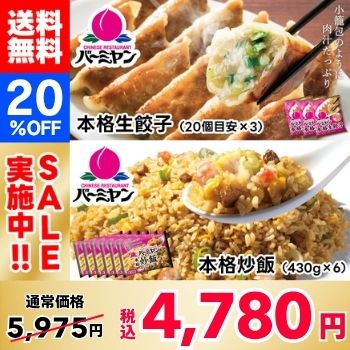 [20% OFF!] Bamiyan（バーミヤン）Gyoza & Fried Rice Set (2 types, 9 packs)