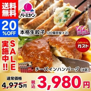 [20% OFF!] Cheese-filled Hamburgr and Gyoza Set (2 types, 6 packs)