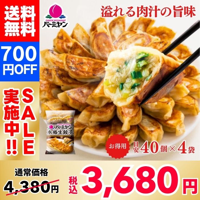 【立減700日圓！ 】Bamiyan（バーミヤン）揚正宗新鮮煎餃（約40個）×4袋，共160個