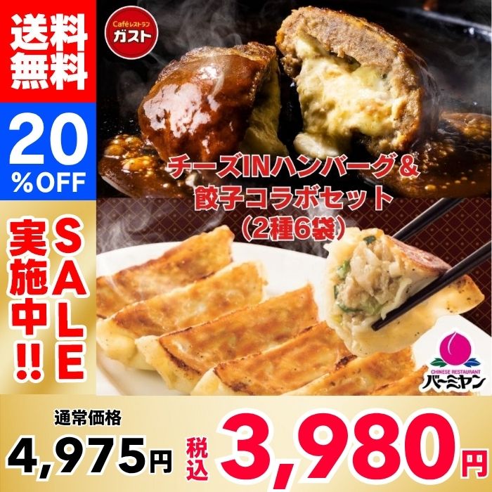 【20％OFF！】すかいらーく チーズINハンバーグ＆餃子コラボセット（2種6袋）