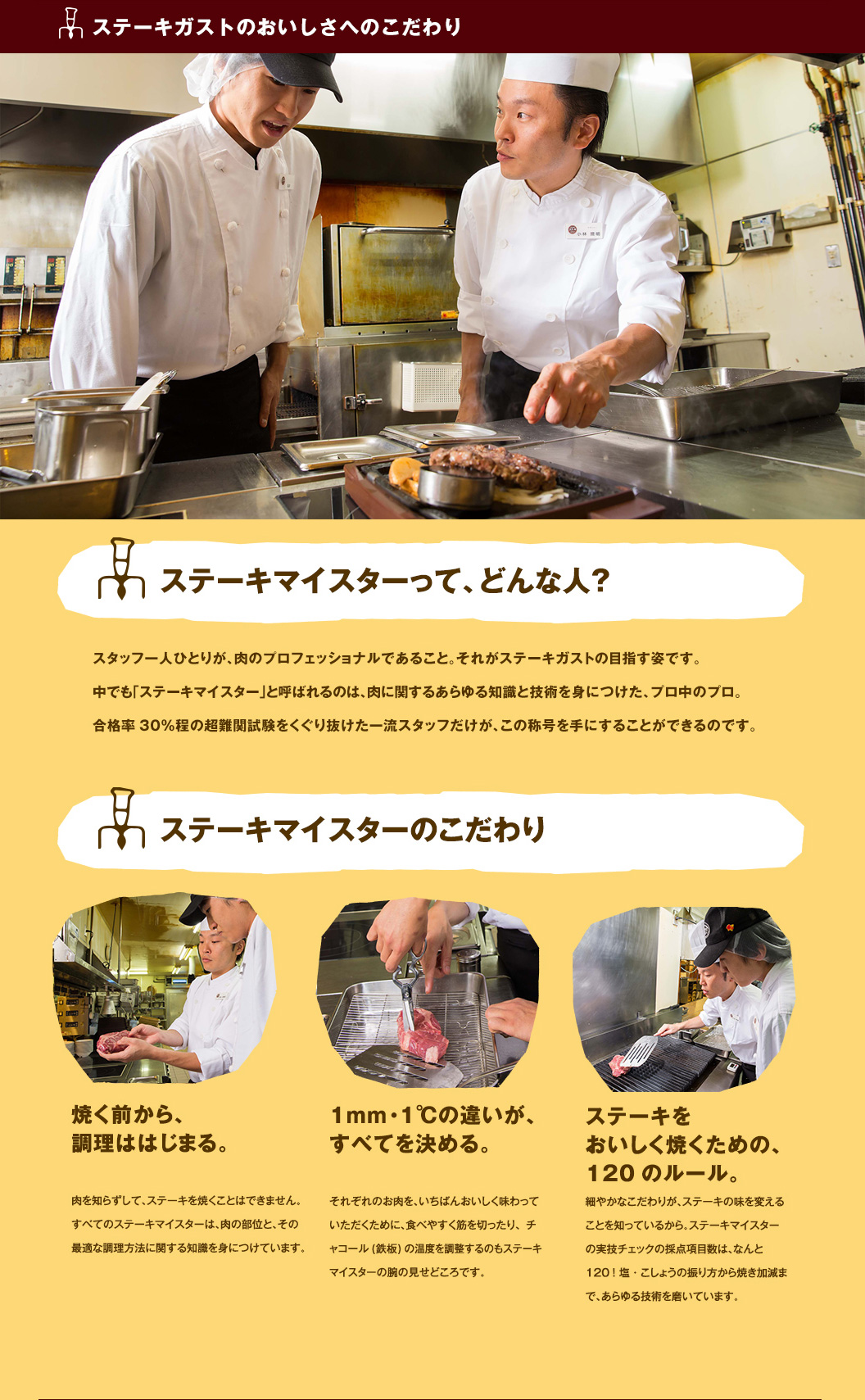 Steak Meister系统