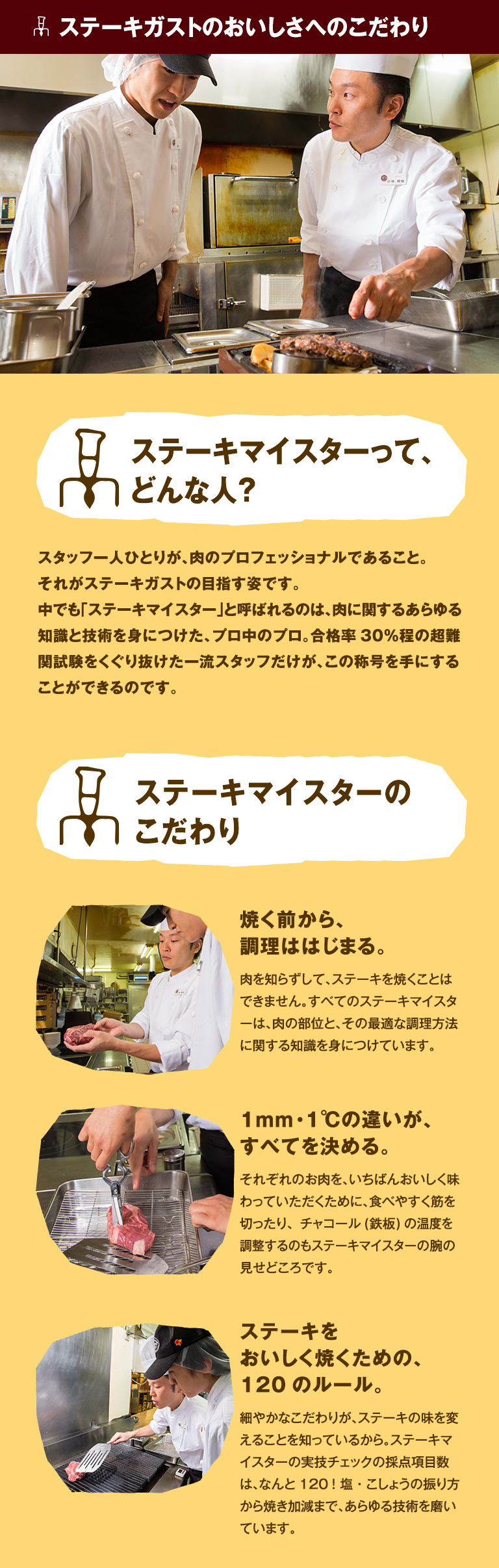 Steak Meister系统