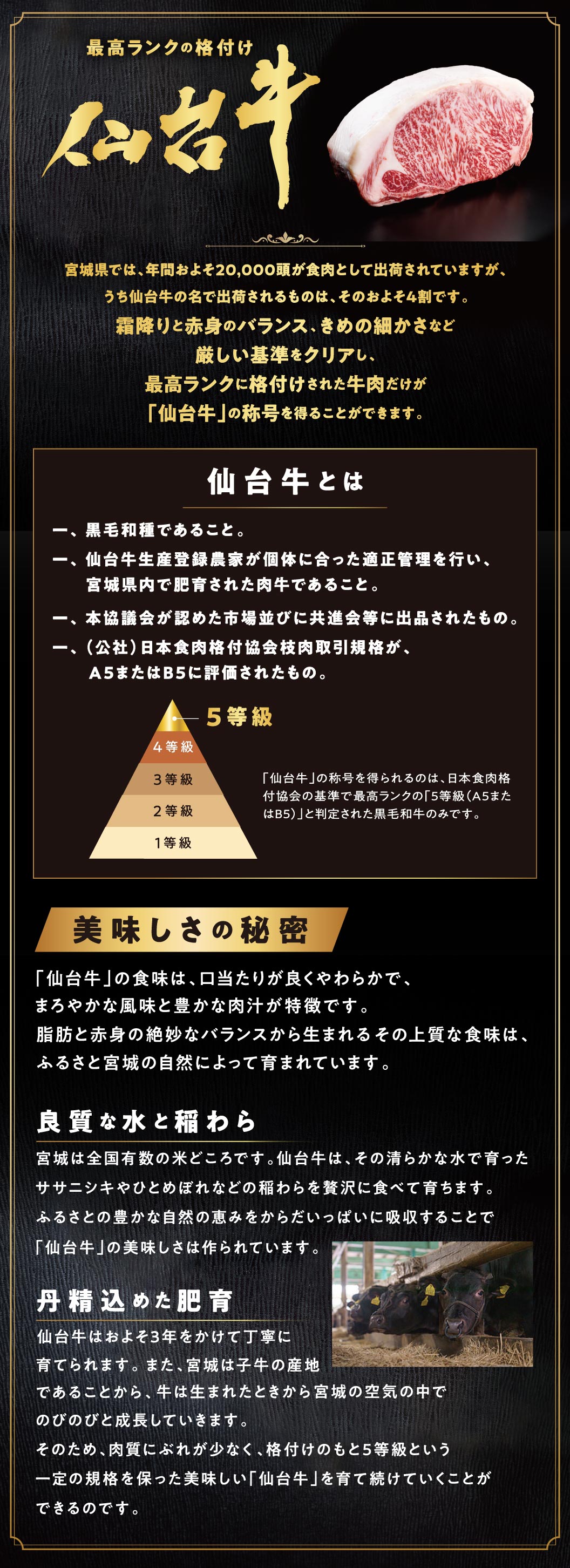 最高ランクの格付け 仙台牛の紹介。厳しい基準をクリアし最高ランク5等級に格付けされた牛肉だけが「仙台牛」の称号を得られるという定義や、良質な水と稲わら、丹精込めた肥育など美味しさの秘密についての解説。