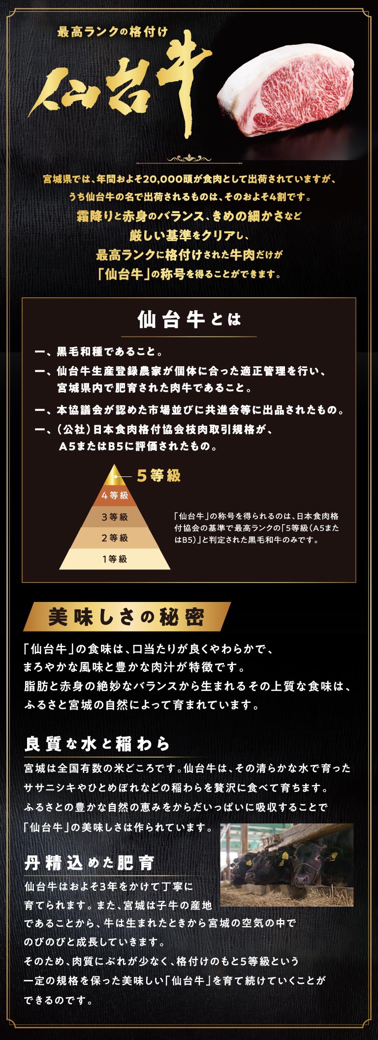 最高ランクの格付け 仙台牛の紹介。厳しい基準をクリアし最高ランク5等級に格付けされた牛肉だけが「仙台牛」の称号を得られるという定義や、良質な水と稲わら、丹精込めた肥育など美味しさの秘密についての解説。