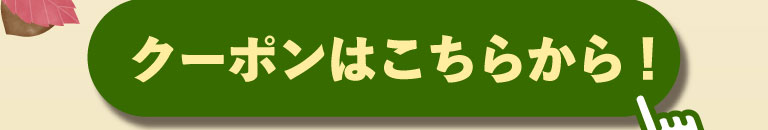 Get your coupon here!