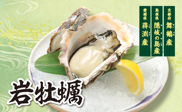 [Limited Time Offer] Rock Oysters