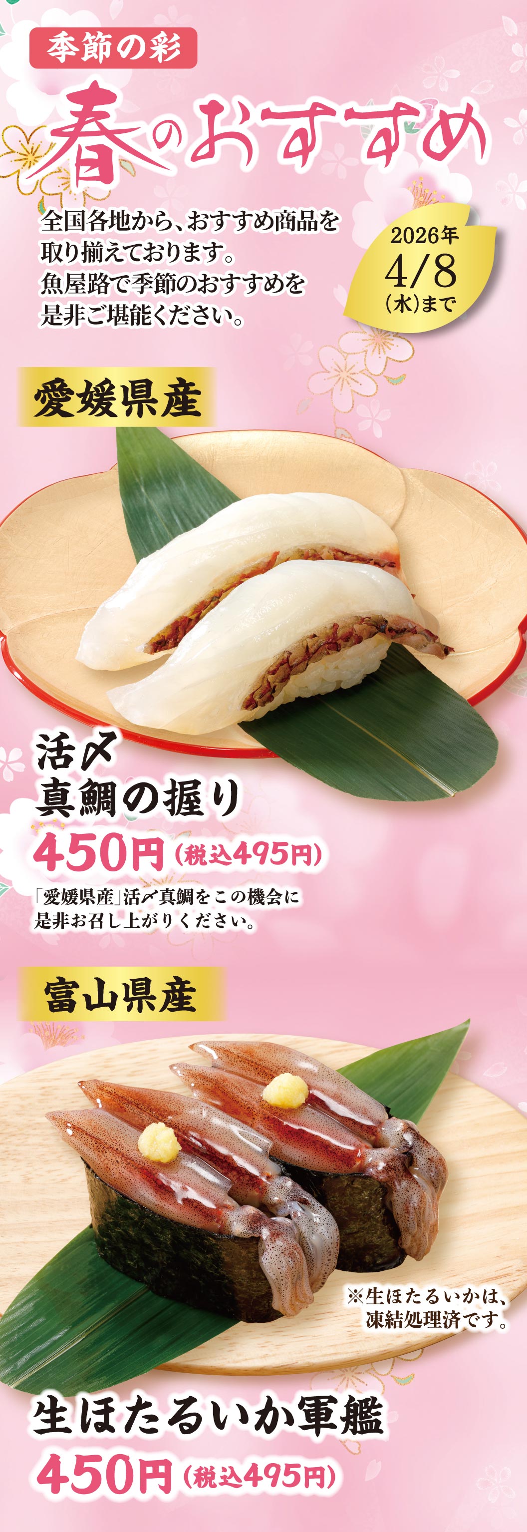 愛媛県産活〆真鯛の握り、富山県産生ほたるいか軍艦