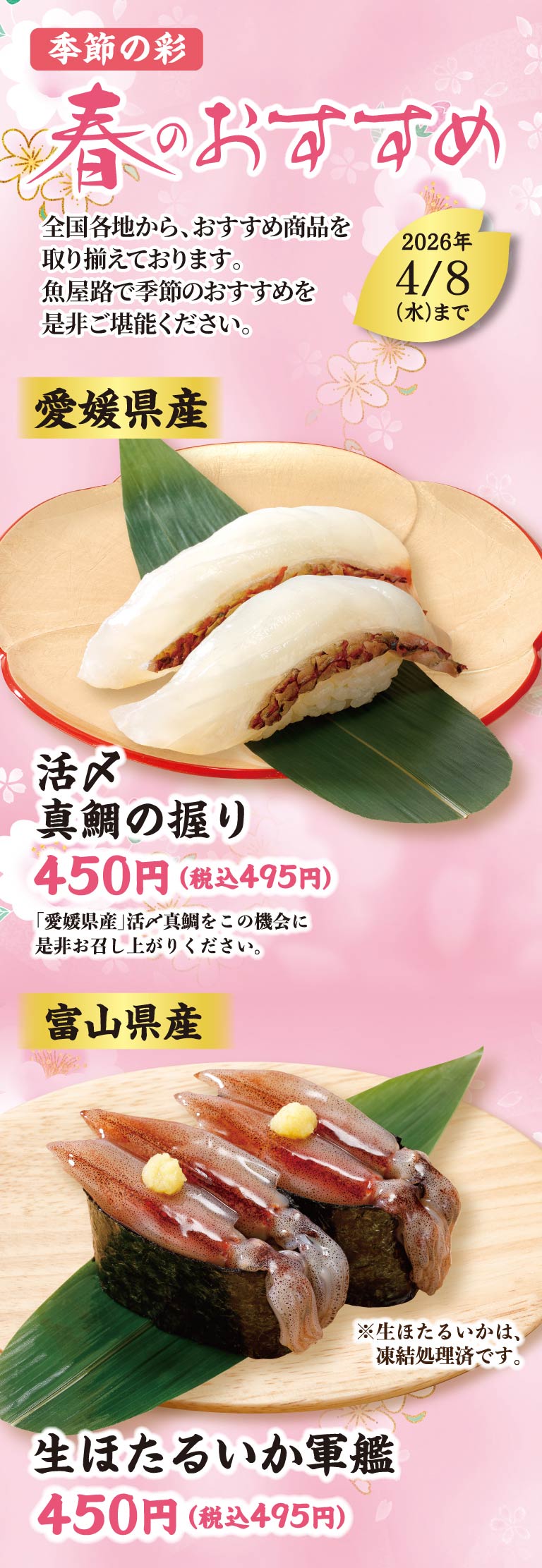 愛媛県産活〆真鯛の握り、富山県産生ほたるいか軍艦