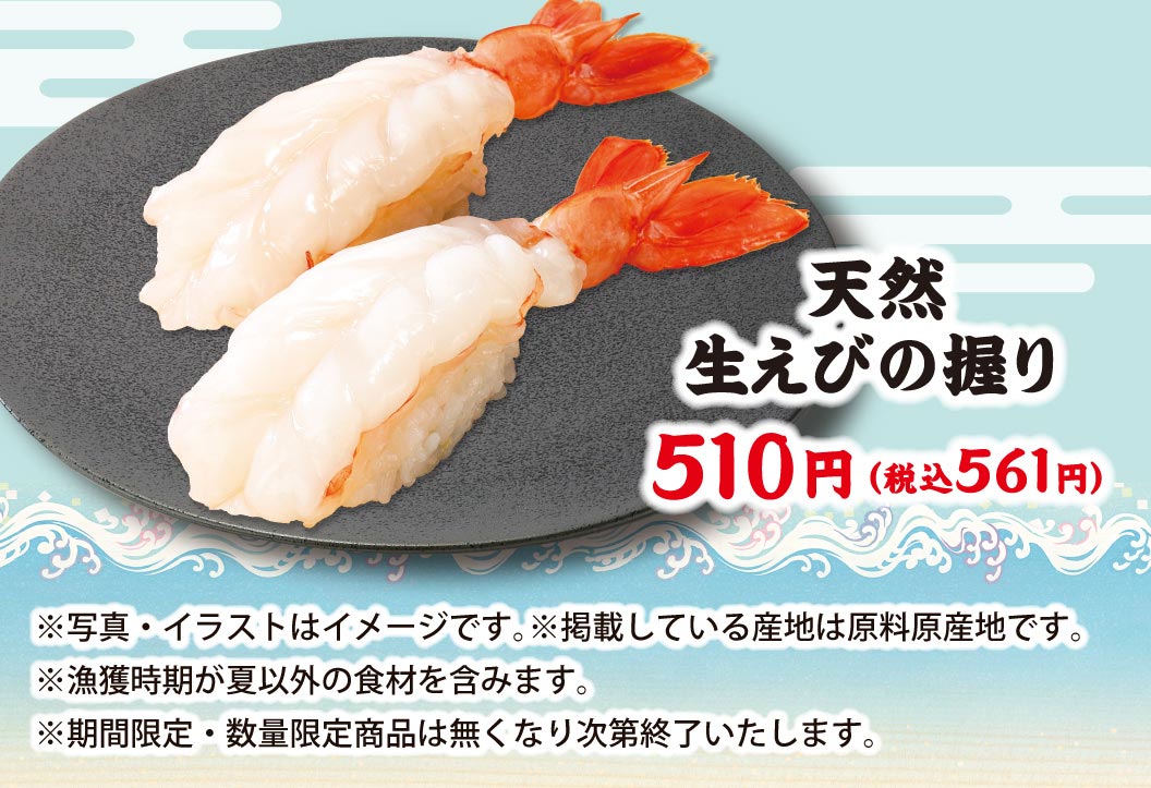 天然生えびの握り 510円（税込561円）。※写真・イラストはイメージです。※掲載している産地は原料原産地です。※漁獲時期が夏以外の食材を含みます。※期間限定・数量限定商品は無くなり次第終了いたします。