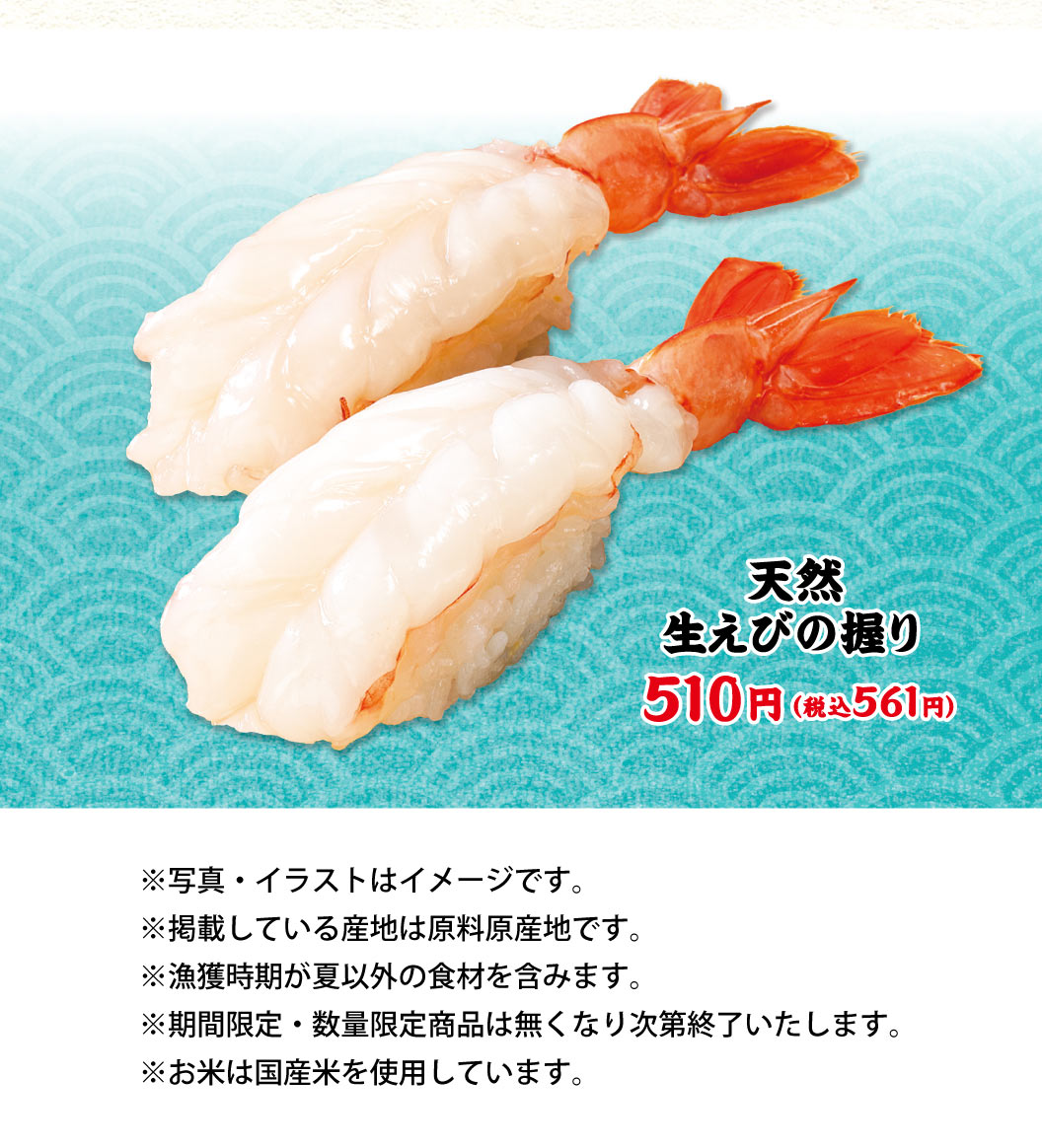 天然生蝦握壽司510日元 (含稅561日元) 。※照片、插圖僅供參考。※刊登的產地為原料原產地。※包含捕撈時期為夏季以外的食材。※期間限定、數量限定商品售完即止。※大米使用國產大米。