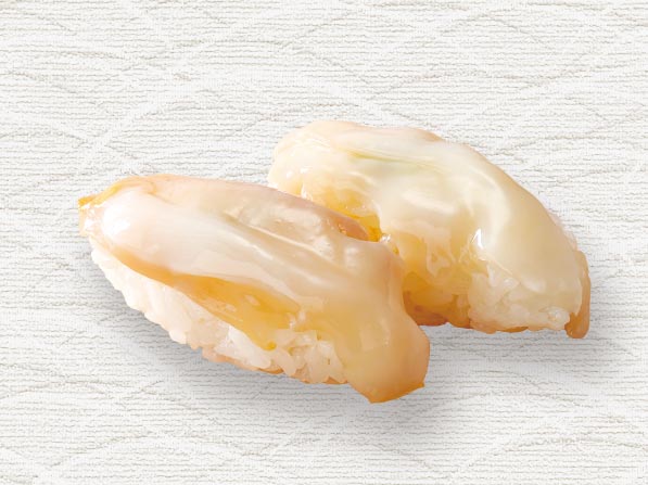 Whelk | Shellfish | Totoyamichi（魚屋路）| Skylark Group