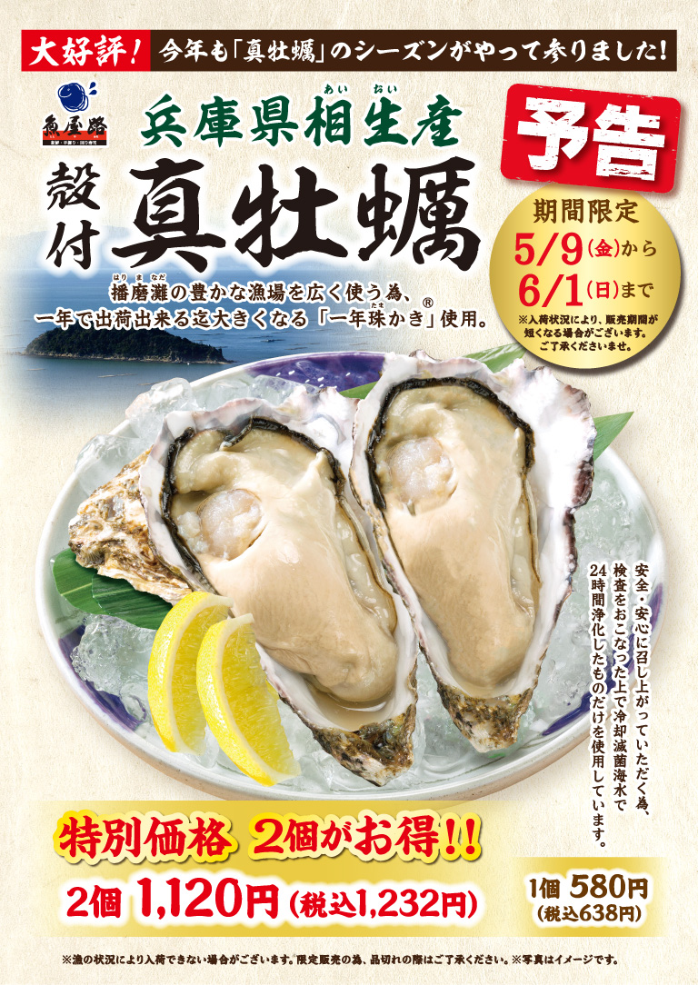 兵庫県相生産 殻付真牡蠣
