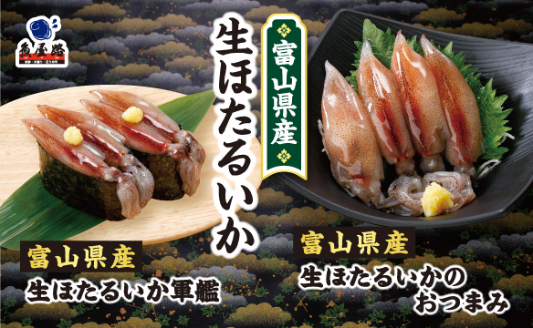 富山県産生ほたるいか