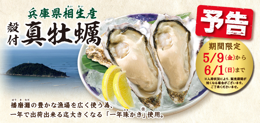 兵庫県相生産殻付真牡蠣