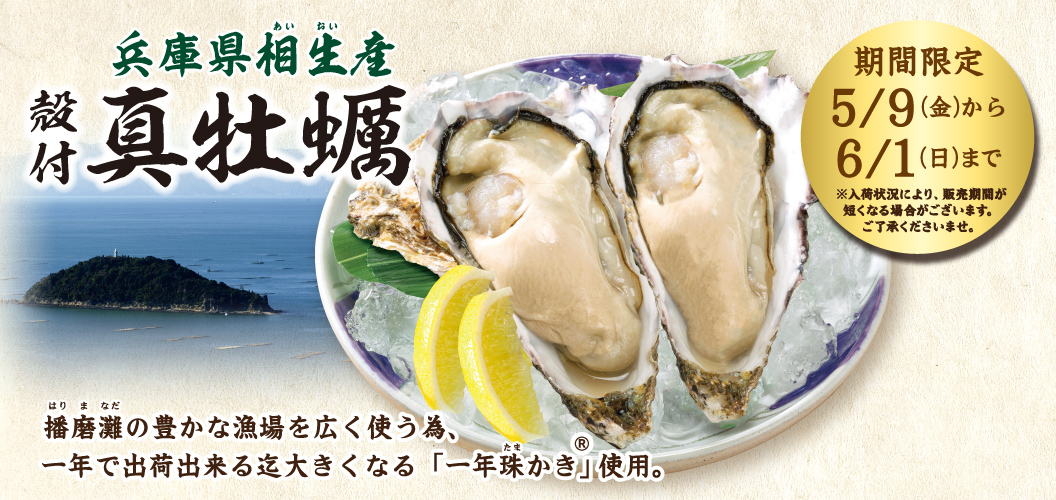 兵庫県相生産殻付真牡蠣