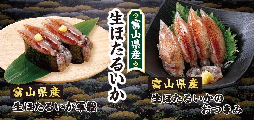 富山県産生ほたるいか