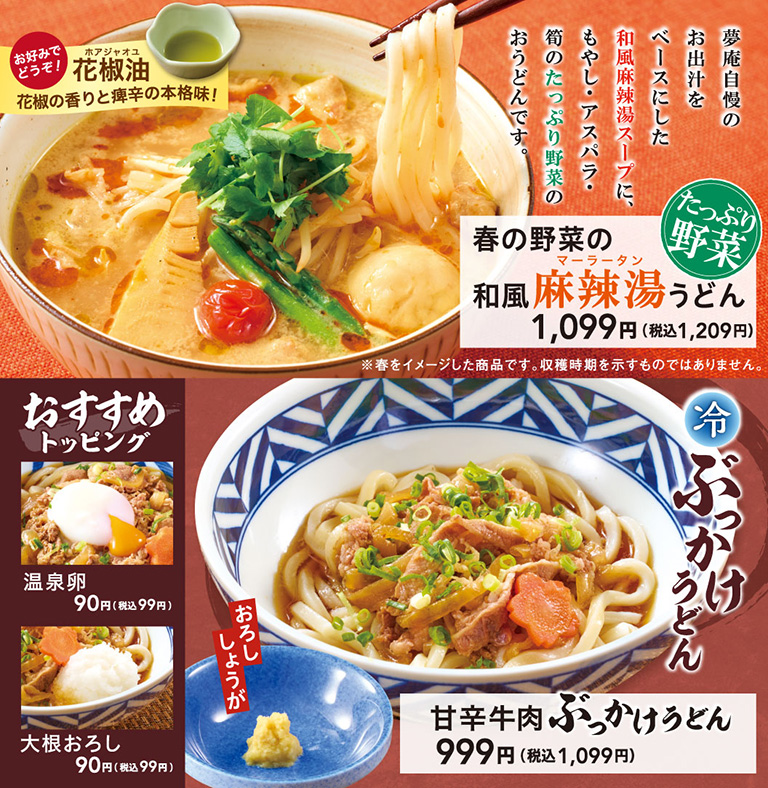 Spring vegetable Japanese-style spicy soup udon Sweet and spicy beef bukkake udon