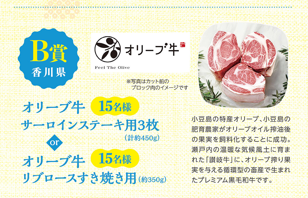 B賞 香川県 プレミアム黒毛和牛 オリーブ牛 15名様 サーロインステーキ用3枚(計約450g) または オリーブ牛 15名様 リブロースすき焼き用(約350g)。