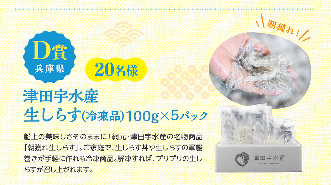 D賞 兵庫県 20名様 津田宇水産 朝獲れ！生しらす(冷凍品)100g×5パック。